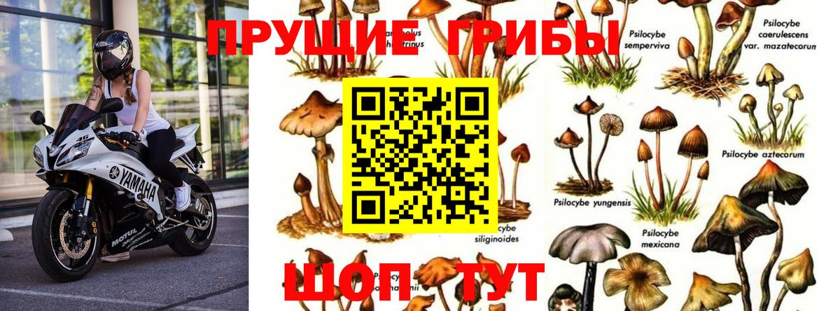 Рославль  Псилоцибиновые грибы ЛСД  Вход с VPN  Галлюциногенные грибы мухоморы 