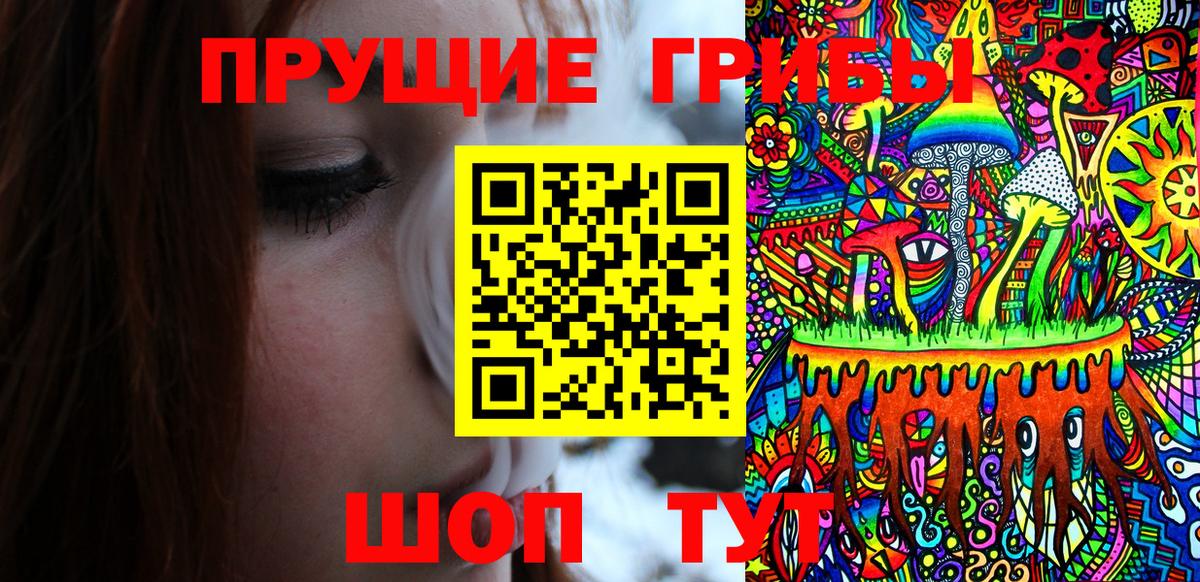 Псилоцибиновые грибы Cubensis Рославль